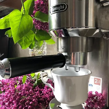 Sauna & Gory Jelenia Gora