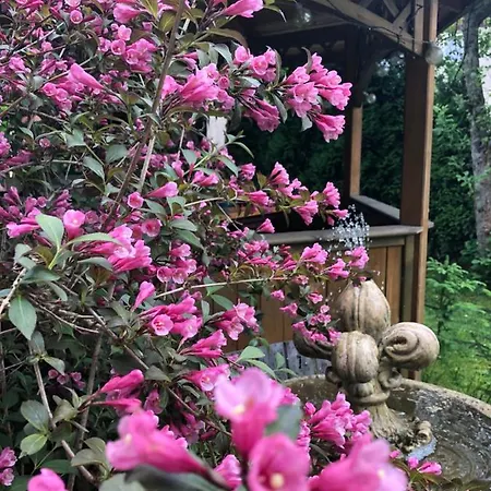 Sauna & Gory * Jelenia Gora