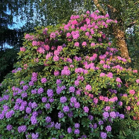 Sauna & Gory Daire Jelenia Gora