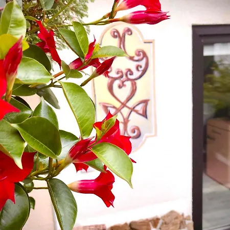 Apartmán Sauna & Gory Przy Termach Cieplickich I Parku Norweskim Jelení Hora