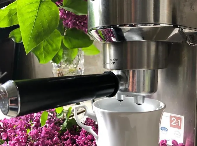 Sauna & Gory 옐레니아구라