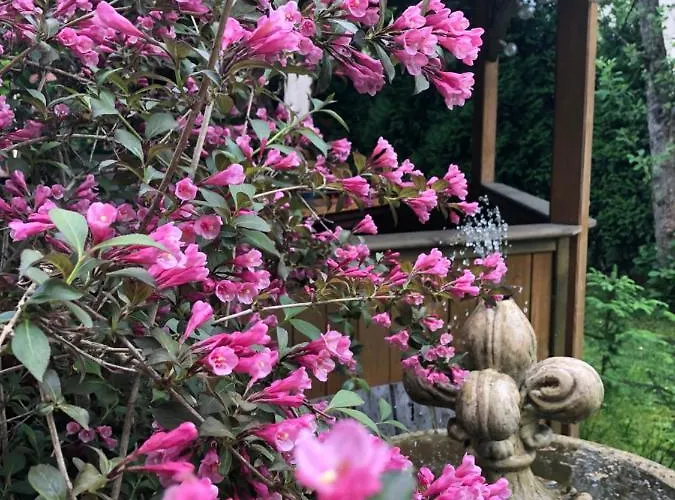 Sauna & Gory * 옐레니아구라