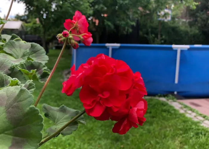 Sauna & Gory Przy Termach Cieplickich I Parku Norweskim Apartmán