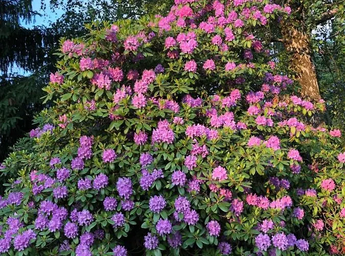 Sauna & Gory Przy Termach Cieplickich I Parku Norweskim Apartmán Jelení Hora